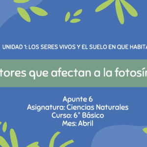 Apunte 6° Básico: Factores que afectan a la fotosíntesis.