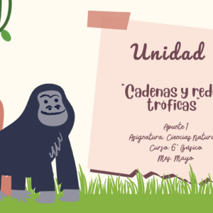 Apunte 6° Básico Ciencias: Cadenas y redes tróficas.