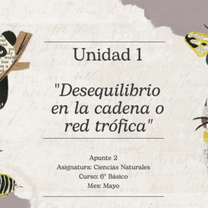 Apunte 6° Básico: Desequilibrio en la cadena o red trófica.