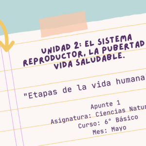 Apunte 6° básico: Etapas de la vida humana.