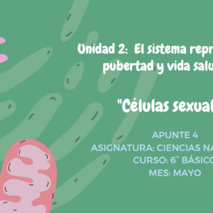 Apunte 6° Básico Ciencias: Células sexuales.