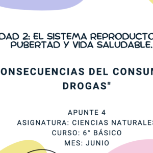 Apunte 6° Básico: Consecuencias del consumo de drogas.