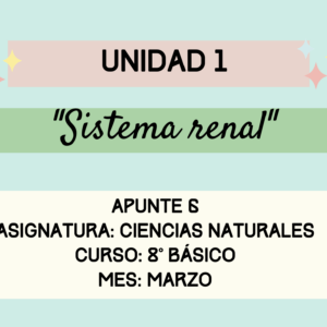 Apunte 8° Básico: Sistema Renal