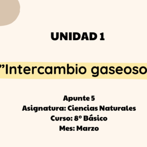 Apunte 8° Básico: Intercambio Gaseoso.