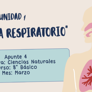 Apunte 8° Básico: Sistema Respiratorio.