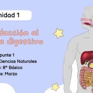 Apunte 8° Básico: Sistema Digestivo.