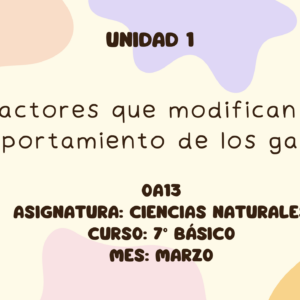 Apunte 7° Básico: Factores que modifican el comportamiento de los gases.