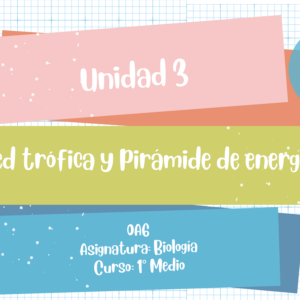Apunte Biología 1° Medio: Red trófica y pirámide de energía.