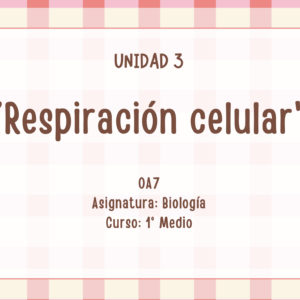 Apunte Biología 1° Medio: Respiración Celular