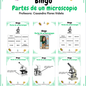 bingo partes de un microscopio