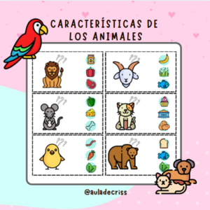 Características de los animales