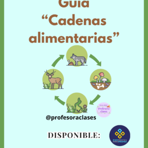 Guía 6°Básico Cadenas alimentarias