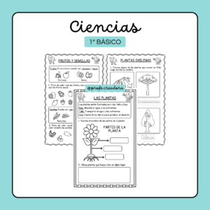 Ciencias - 1° Básico - Las plantas