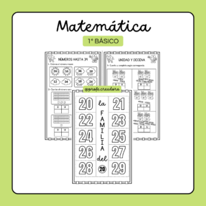Matemática - 1° Básico - Números hasta el 50