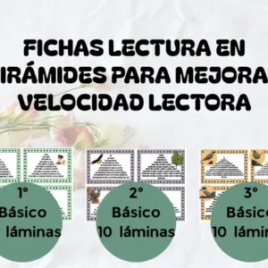Lectura en pirámides: velocidad lectora con flora y aves del sur de Chile