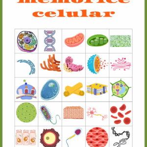 Memorice célula