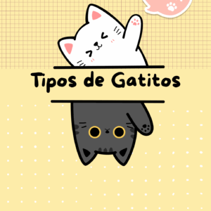 Libro de Tipos de Gatos